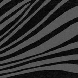 Meet your Posher, Makayla